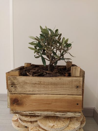 Un Vaso per l’Altare