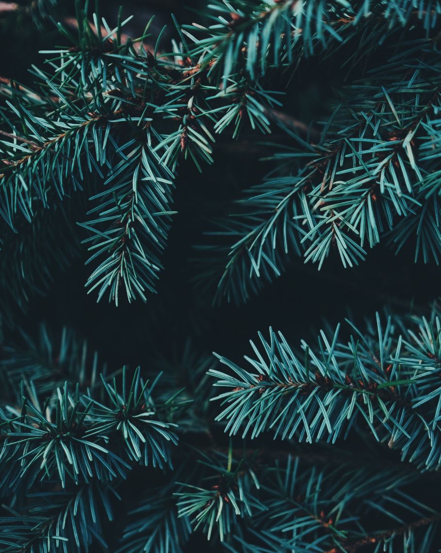 “Diremo Io o Noi?” – Sentieri per varcare la notte